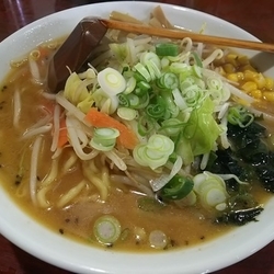 味噌ラーメン　（麺大盛）