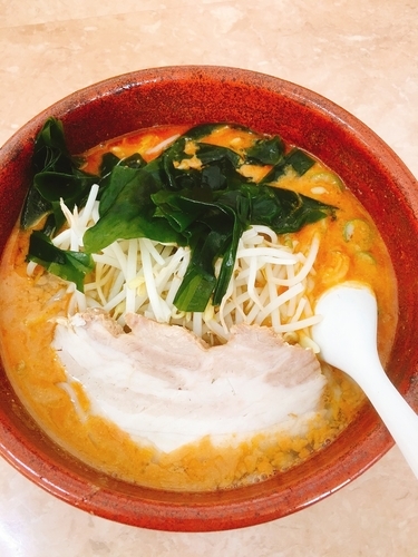 「ごま塩らーめん」@手打ちらーめん 金龍の写真