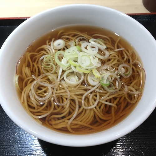 「かけ（￥290）」@いろり庵きらく 目黒店の写真