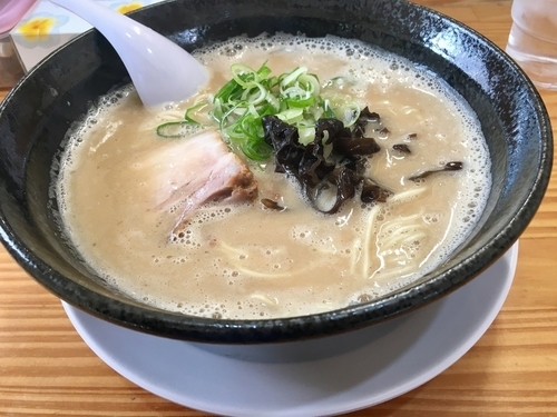 「白とんらーめん(カタメ) ¥680+替玉¥100」@とんこつらーめん いちの屋の写真