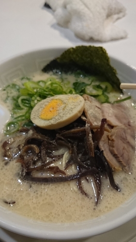 「ラーメン ５００円」@博多天神 新宿御苑店の写真
