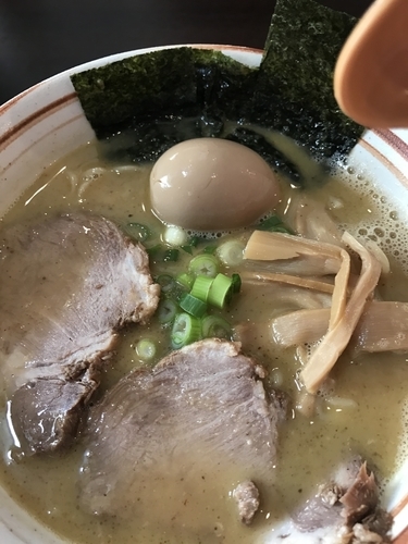 「濃厚鶏白湯魚介Ｗスープ」@自家製麺 大器の写真