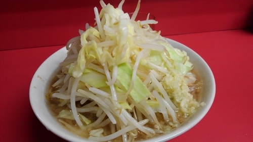 「小ラーメン700円 (麺半分、ヤサイ・ニンニク・カラメ)」@ラーメン二郎 千住大橋駅前店の写真