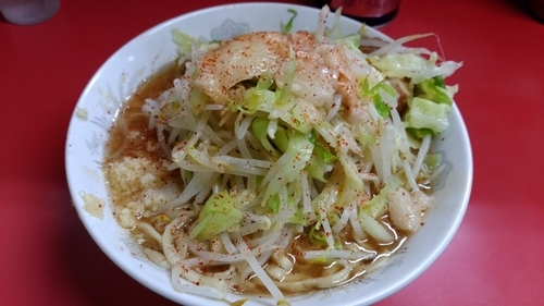 「小ラーメン(全部増し)」@ラーメン二郎 環七一之江店の写真