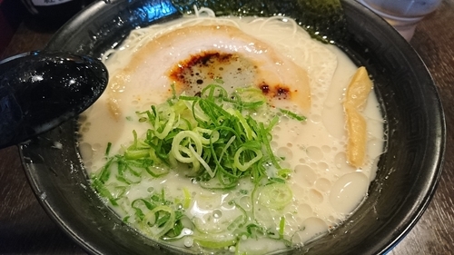 「豚骨らぁ麺＋替え玉(赤) ￥ 600」@だるまのめ 西葛西店の写真