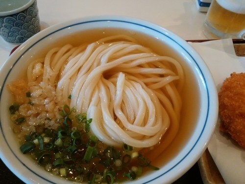 「ひやあつ」@手打うどん 長谷沼の写真