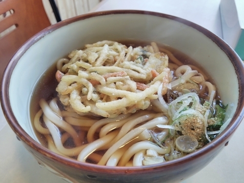 「天ぷらうどん」@道の駅 朝霧高原の写真