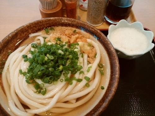 「ひやかけ＋とろろ」@讃岐うどん 條辺の写真