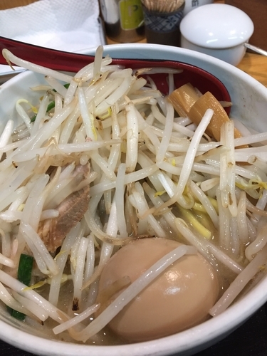 「味噌ラーメン野菜大盛り」@味噌麺処 花道庵の写真