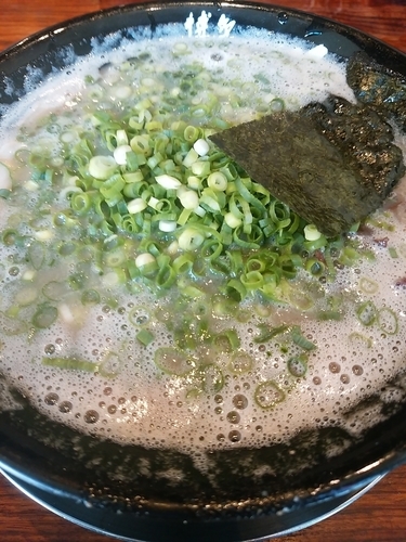 「ラーメン　￥600」@博多一双 博多駅東本店の写真