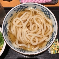冷かけうどん