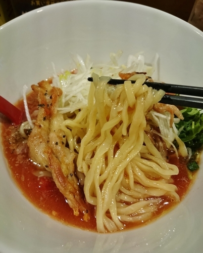 「トマトラーメン(冷やし)＋叉焼丼＝1250円」@麺屋 紅の写真