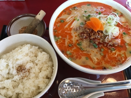「胡麻味噌担々麺 大盛り」@担々麺専門 發巳 矢板店の写真