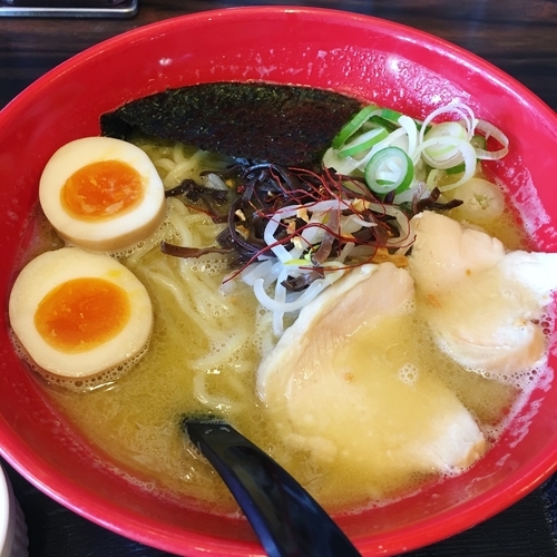 「白金鶏湯味玉らーめん」@麺家いろは 射水本店の写真
