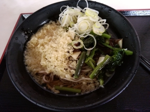 「冷したぬき山菜そば(並盛)430円」@そば・うどん 八起家 西口店の写真