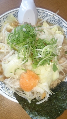 「野菜肉そば」@丸源ラーメン つくば店の写真