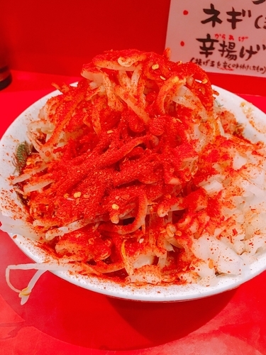 「少なめ豚そば 南極 ヤサイ、アブラ、ネギ増」@ひたちなか大盛軒の写真