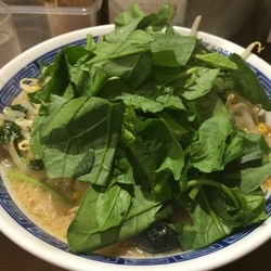 味噌ラーメン(ほうれん草・しょうが・野菜多め)