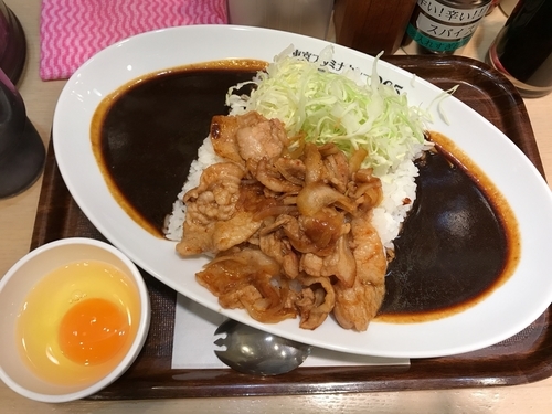 「豚スタミナカレー」@東京スタミナカレー365 秋葉原道場の写真