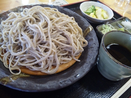 「ざるそば　８８０円」@味処 こまゆみの写真