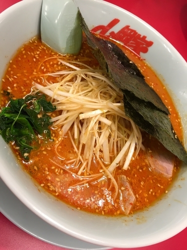 「辛味噌ネギラーメン (中辛) ￥840」@山岡家 川島店の写真