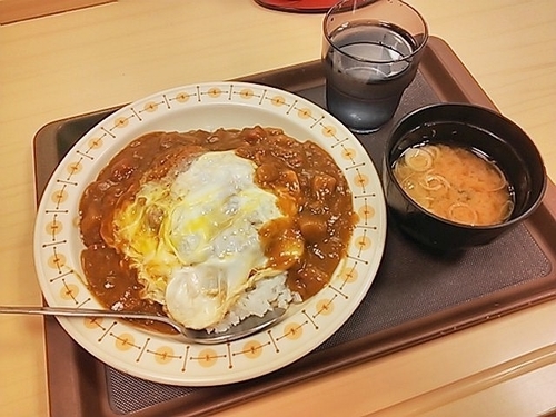 「カレーかつ丼」@名代 富士そば 池袋店の写真