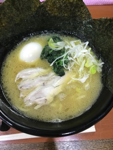 「味玉ラーメン（中太麺）」@怪鳥系ラーメン鳥虜 -TORIKO-の写真