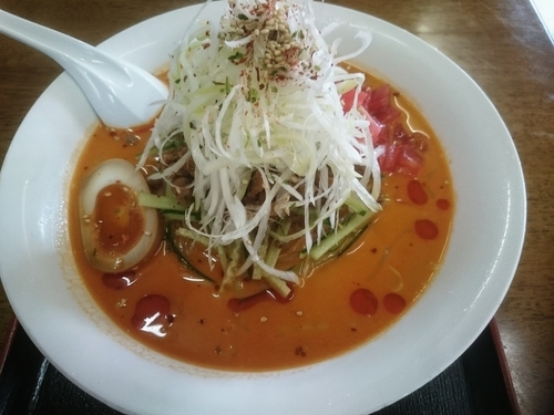 「冷やし担々麺」@奥久慈ラーメン なかざわの写真