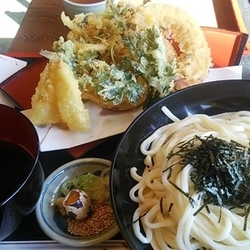 天ざるうどん