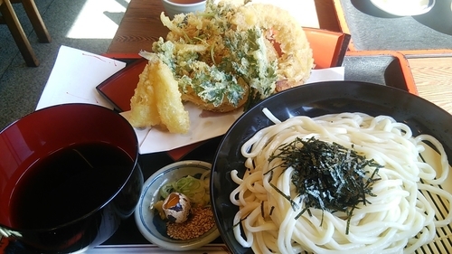 「天ざるうどん」@天作の写真