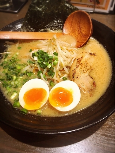 「白マル味玉味噌ラーメン」@熟成蔵出し味噌ラーメン マルヤ商店 岩井店の写真