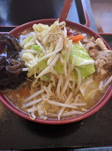「野菜ラーメン（麺硬め・油多め）大盛」@イレブンフーズ 源流 南品川店の写真