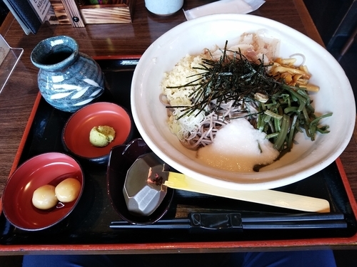 「冷やし山菜とろろそば(並盛)720円」@信州そば処 そじ坊 高崎モントレー店の写真