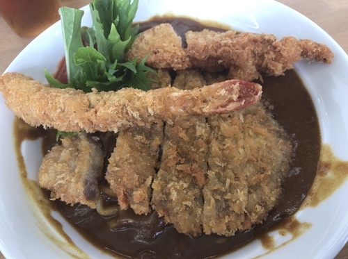 「ぶっかけデミグラトマトカレー」@MENYA 食い味の道有楽の写真