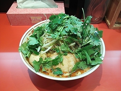 「スパ辛ラーメン＋味玉・パクチー」@ラーメン 風らいぼうの写真