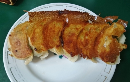 「餃子(6個) 600円」@餃子の店 おけ以の写真