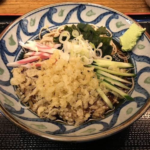 「冷したぬき（￥420）＋石臼挽き券（￥60）」@そば新 蒲田西口店の写真