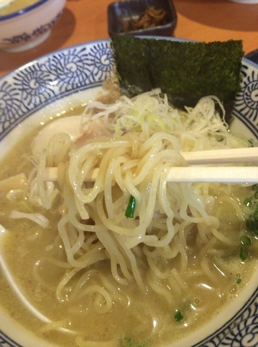 「濃厚鶏そば」@麺匠 清兵衛の写真