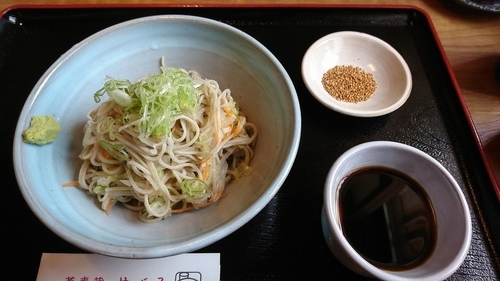 「ぶっかけ野菜そば　980円」@蕎麦蔵めぐみの写真