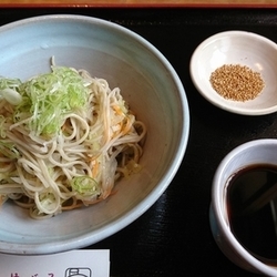 ぶっかけ野菜そば　980円