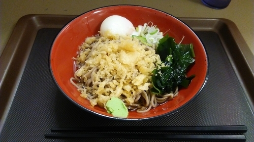 「冷やしたぬきそば 390円 ＋ 温泉玉子 60円」@富士そば 新小岩店の写真