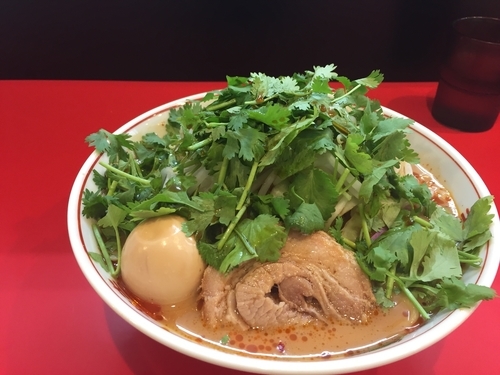 「スパ辛ラーメン パクチー 煮卵」@ラーメン 風らいぼうの写真