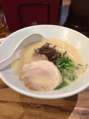 「白」@博多一風堂 横浜西口店の写真