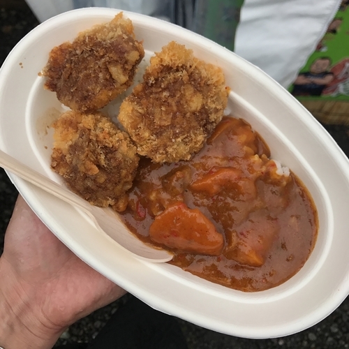 「カツカレーライス（3枚）（肉山）」@FUJI ROCK FESTIVAL'17の写真