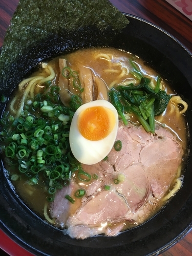 「濃厚煮干らぁめん(太麺)」@丸新らぁめん食堂の写真