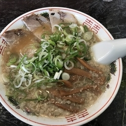 せあぶら中華 ネギまし