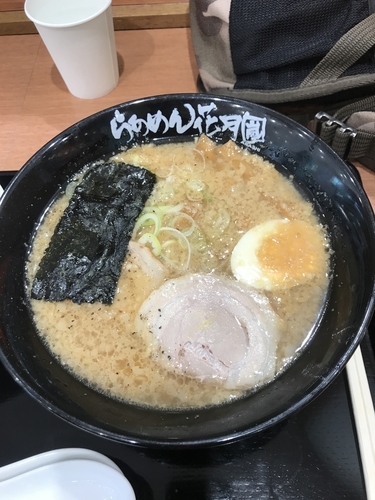 「嵐げんこつらぁめん➕麺固め➕背脂多め」@らあめん花月嵐 アリオ北砂店の写真