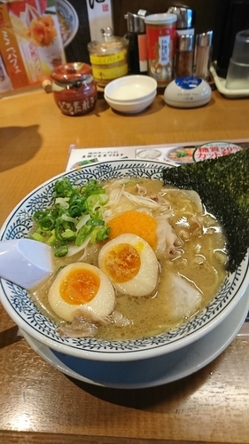 「チャーハン餃子ランチ」@丸源ラーメン 草加店の写真