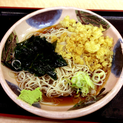 冷したぬき(350円)