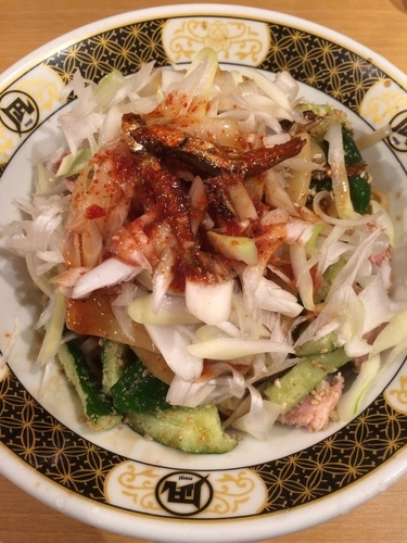 「とうがらし麺＋漁師めし」@すごい煮干ラーメン凪 新宿ゴールデン街店 別館の写真